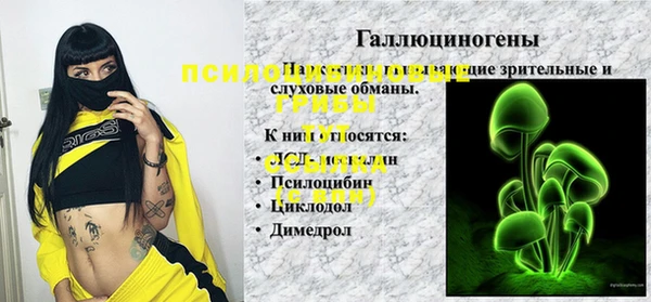 шишки Армянск