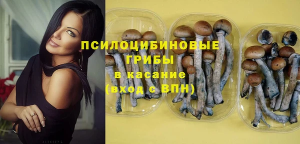 a pvp Аркадак