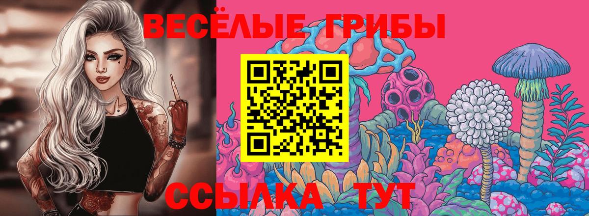 Псилоцибиновые грибы Psilocybine cubensis Выкса